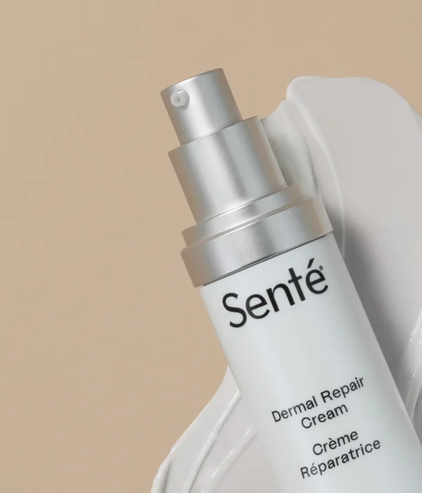 Dermal Repair Cream - Image 2